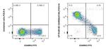 CD45RA Antibody in Flow Cytometry (Flow)