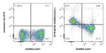 CD45RO Antibody in Flow Cytometry (Flow)