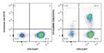 CD8 Antibody in Flow Cytometry (Flow)