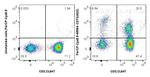 CD73 Antibody in Flow Cytometry (Flow)