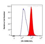 NCL Antibody in Flow Cytometry (Flow)