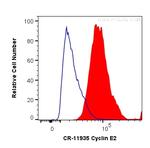 Cyclin E2 Antibody in Flow Cytometry (Flow)