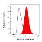 Histone-H3 Antibody in Flow Cytometry (Flow)