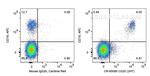 CD20 Antibody in Flow Cytometry (Flow)