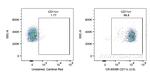 CD11c Antibody in Flow Cytometry (Flow)