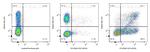 CD25 Antibody in Flow Cytometry (Flow)