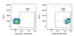 CD45 Antibody in Flow Cytometry (Flow)