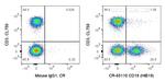 CD19 Antibody in Flow Cytometry (Flow)