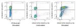 PD-1/CD279 Antibody in Flow Cytometry (Flow)