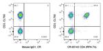 CD4 Antibody in Flow Cytometry (Flow)