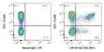 CD8 Antibody in Flow Cytometry (Flow)