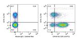 CD5 Antibody in Flow Cytometry (Flow)