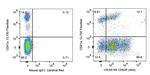 CD62P Antibody in Flow Cytometry (Flow)