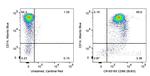 CD86 Antibody in Flow Cytometry (Flow)