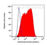 CD163 Antibody in Flow Cytometry (Flow)