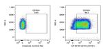 CD163 Antibody in Flow Cytometry (Flow)