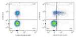 CD1c Antibody in Flow Cytometry (Flow)