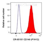 CD146 Antibody in Flow Cytometry (Flow)