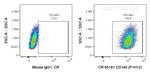 CD146 Antibody in Flow Cytometry (Flow)