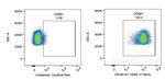 CD68 Antibody in Flow Cytometry (Flow)
