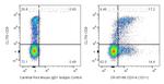 CD314/NKG2D Antibody in Flow Cytometry (Flow)