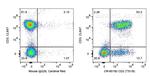 CD2 Antibody in Flow Cytometry (Flow)
