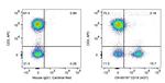 CD19 Antibody in Flow Cytometry (Flow)