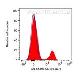 CD19 Antibody in Flow Cytometry (Flow)