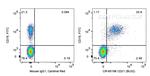 CD21 Antibody in Flow Cytometry (Flow)