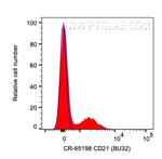 CD21 Antibody in Flow Cytometry (Flow)