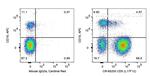 CD5 Antibody in Flow Cytometry (Flow)