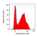 CD7 Antibody in Flow Cytometry (Flow)