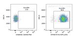 HLA-DR Antibody in Flow Cytometry (Flow)