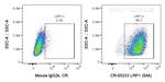 LRP1 Antibody in Flow Cytometry (Flow)