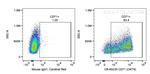 CD71 Antibody in Flow Cytometry (Flow)