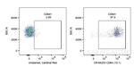 CD64 Antibody in Flow Cytometry (Flow)