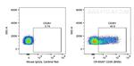CD26 Antibody in Flow Cytometry (Flow)