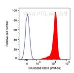 CD31 Antibody in Flow Cytometry (Flow)