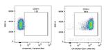 CD31 Antibody in Flow Cytometry (Flow)