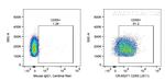 CD55 Antibody in Flow Cytometry (Flow)