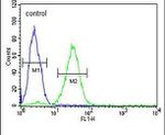 CREM Antibody in Flow Cytometry (Flow)