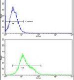 CROT Antibody in Flow Cytometry (Flow)
