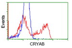 CRYAB Antibody in Flow Cytometry (Flow)