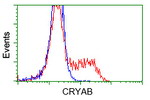 CRYAB Antibody in Flow Cytometry (Flow)