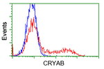 CRYAB Antibody in Flow Cytometry (Flow)