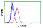 CRYAB Antibody in Flow Cytometry (Flow)