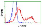 CRYAB Antibody in Flow Cytometry (Flow)