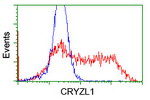 CRYZL1 Antibody in Flow Cytometry (Flow)