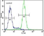 Cystatin 9 Antibody in Flow Cytometry (Flow)