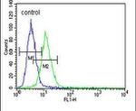 Citrate Synthase Antibody in Flow Cytometry (Flow)